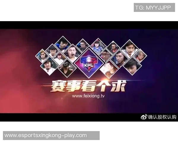 王者荣耀战术深度解析EDG团队策略与游戏风格的成功之道